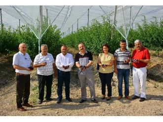 Manavgat’ta Örnek Meyve Bahçesi