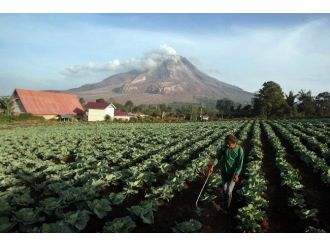 Endonezya’da Sinabung Yanardağı Harekete Geçti
