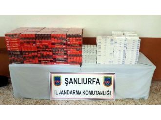 Kaza Yapınca Kaçak Sigaralar Ortaya Çıktı