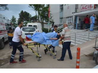 Ağaçtan Düşen Kadın Yaralandı