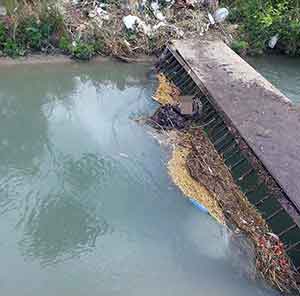 Sulama Kanalına Düşen Yaşlı Kadın Hayatını Kaybetti