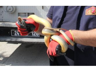 Bir Şehri Ayağa Kaldırdılar