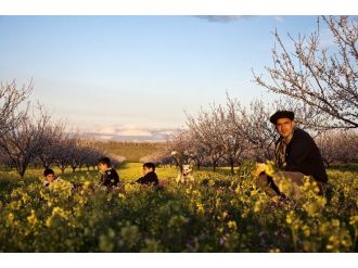 Yeşilyurt Her Mevsim Güzel İlkbahar Fotoğraf Yarışması Tamamlandı