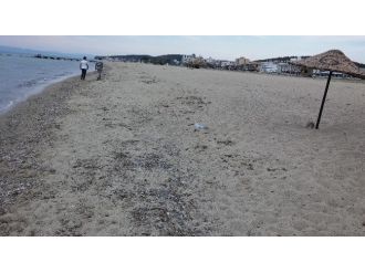 Plajlarda Büyükşehir Farkı Hissediliyor