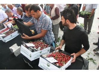 11. Yeşilli Uluslararası Kiraz Ve Kültür Festivali Başladı