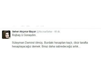 Hdp Erzurum Milletvekili Bayar’dan Demirel İçin İlginç Tweet: