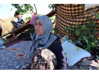 Mutlu’nun Yaşam Mücadelesi Sürüyor