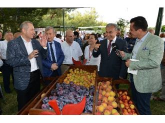 Adana’da Meyve Bayramı
