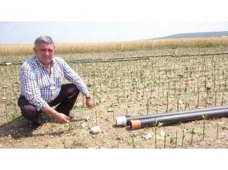 Dolu Yağışının Ardından Hasar Tespiti Yapılıyor