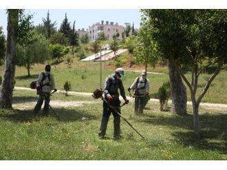 Toroslar’da Park Ve Yeşil Alanların Bakım Çalışmaları Hızlandı