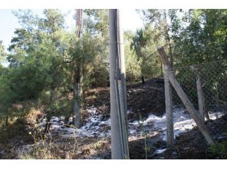 Marmaris’te Çıkan Orman Yangınları Büyümeden Söndürüldü