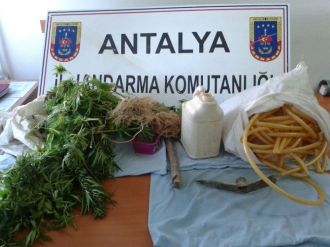 Jandarmadan Uyuşturucu Operasyonu