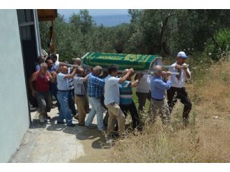 Organları 3 Kişiye Umut Oldu