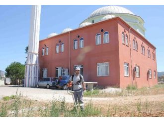 Döşemealtı Belediyesi, Cami Bahçelerini Temizliyor