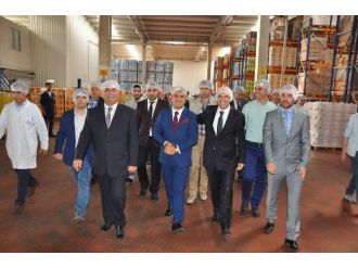 İso 500’e Kadooğlu Damgası