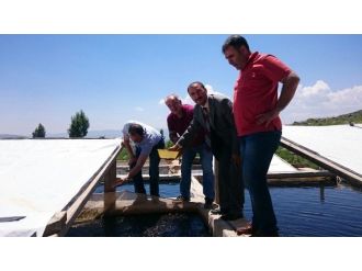 Muş’ta Alabalık Kuluçkahane Tesisi İncelendi