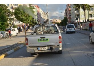Ereğli Gül Kokuyor