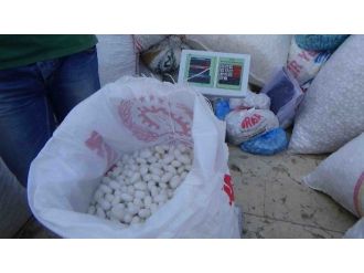 Kulp’ta İpekböceği Koza Alımları Başladı