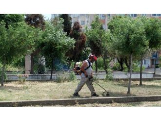 Fener Üstüne Ramazan Bakımı