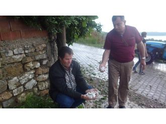 Osmaneli’de Ceviz Büyüklüğünde Dolu
