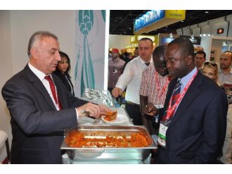 Mbtg Güney Afrika Yolcusu