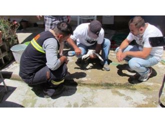 Kanadı Kırılan Leylek İçin Operasyon