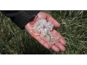 Sivas’ta Dolu Yağışı Ekili Alanlara Zarar Verdi