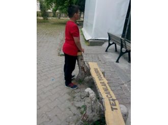 Spora Olan Aşkı Onu Sahalara Geri Döndürdü
