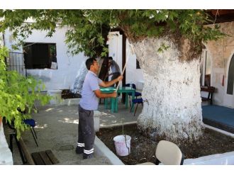 Bodrum’daki 90 Caminin Temizliği Ve Bakımı Yapılıyor