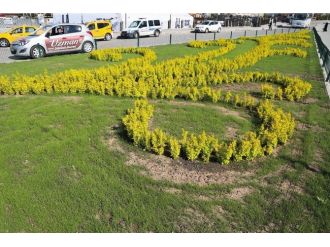 Büyükşehir Belediyesi 500 Bin Adet Çiçek Dikiyor, Erzurum Rengarenk Oluyor