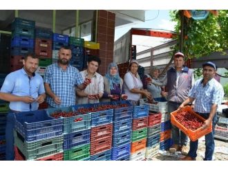 Selendili Kiraz Üreticileri Fiyatlardan Memnun Değil
