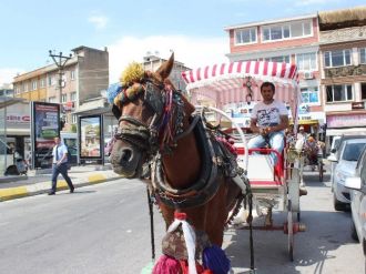 Faytoncular, İşlerin Durgunluğundan Dert Yandı