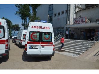 Ağaçtan Düşerek Yaralandı