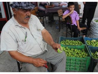 Aydın’ın Milli Meyvesi İncirin Olması Bu Sineklerin Çalışmasına Bağlı