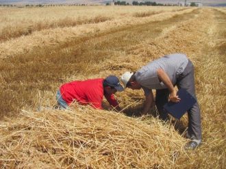 Araban Ovası’nda Biçerdöver Kontrollerden Geçiriliyor