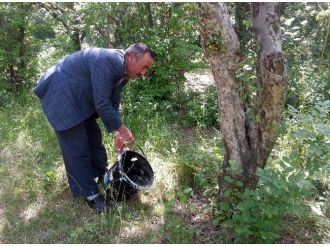 Bahçe Sulamasında”kovalı” Çözüm