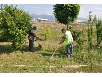 Akçay Ve Cemil Temel Mahallesi’nde Çalışmalar Sürüyor