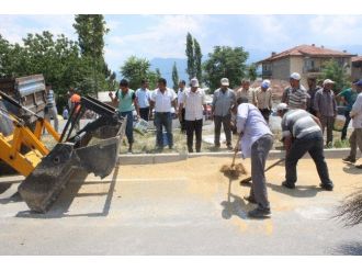 Denizli’de Buğday Yüklü Traktör Devrildi: 4 Yaralı