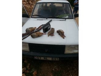 Korkuteli’nde Kaçak Ava 3 Bin Tl Ceza