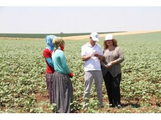 Kadın Ve Eşitlik Komisyonu Üyeleri Mevsimlik İşçileri Ziyaret Etti