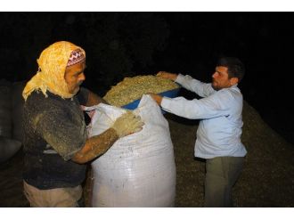 Çiftçiler Mesai Saatlerine Ramazan Ayarı Verdi