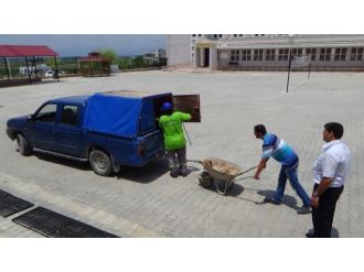 (Özel Haber) Okula Giren Sokak Köpeğini Çıkarma Operasyonu