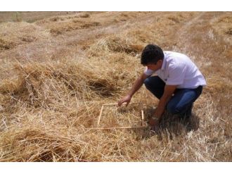 Dalaman’da Biçerdöver Kontrolleri Başladı