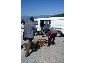 Kilis’te Minibüsle Taksi Çarpıştı: 1 Ölü, 1 Yaralı