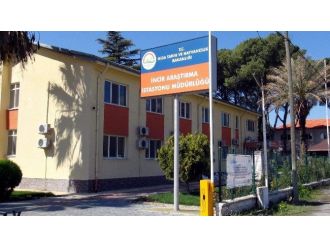 Erbeyli İncir Araştırma Yeniden ’Enstitü’ Oldu