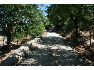 Kaymakam Efendioğlu Köylerde Yapılan Çalışmaları İnceledi