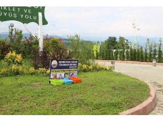 Sapanca’da Sokak Hayvanları İçin Su Ve Yemek Kapları Yerleştirildi