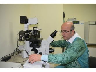 Sdü Tıp’ta Hedef, Tüp Bebek Uzmanı Yetiştirmek