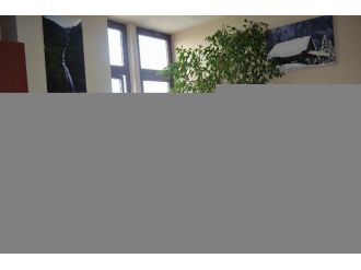 Çok Sevdiği Doğayı Makamına Taşıdı