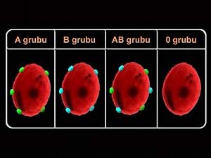 Kan Grubundan Kişilik Analizi